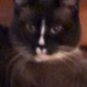 Meet your Posher, Vicki